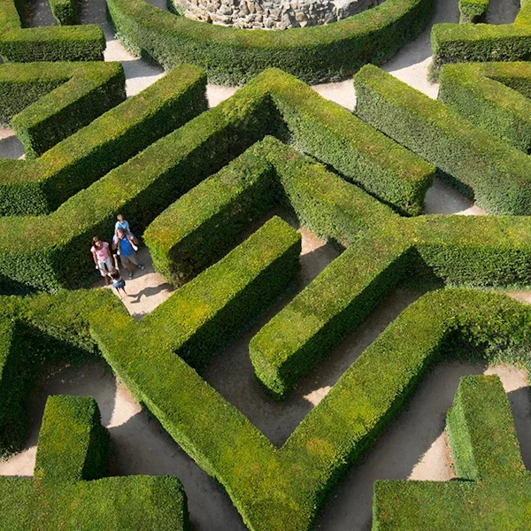Looking down as people exploring the Leeds Caslte maze on a day out in Kent