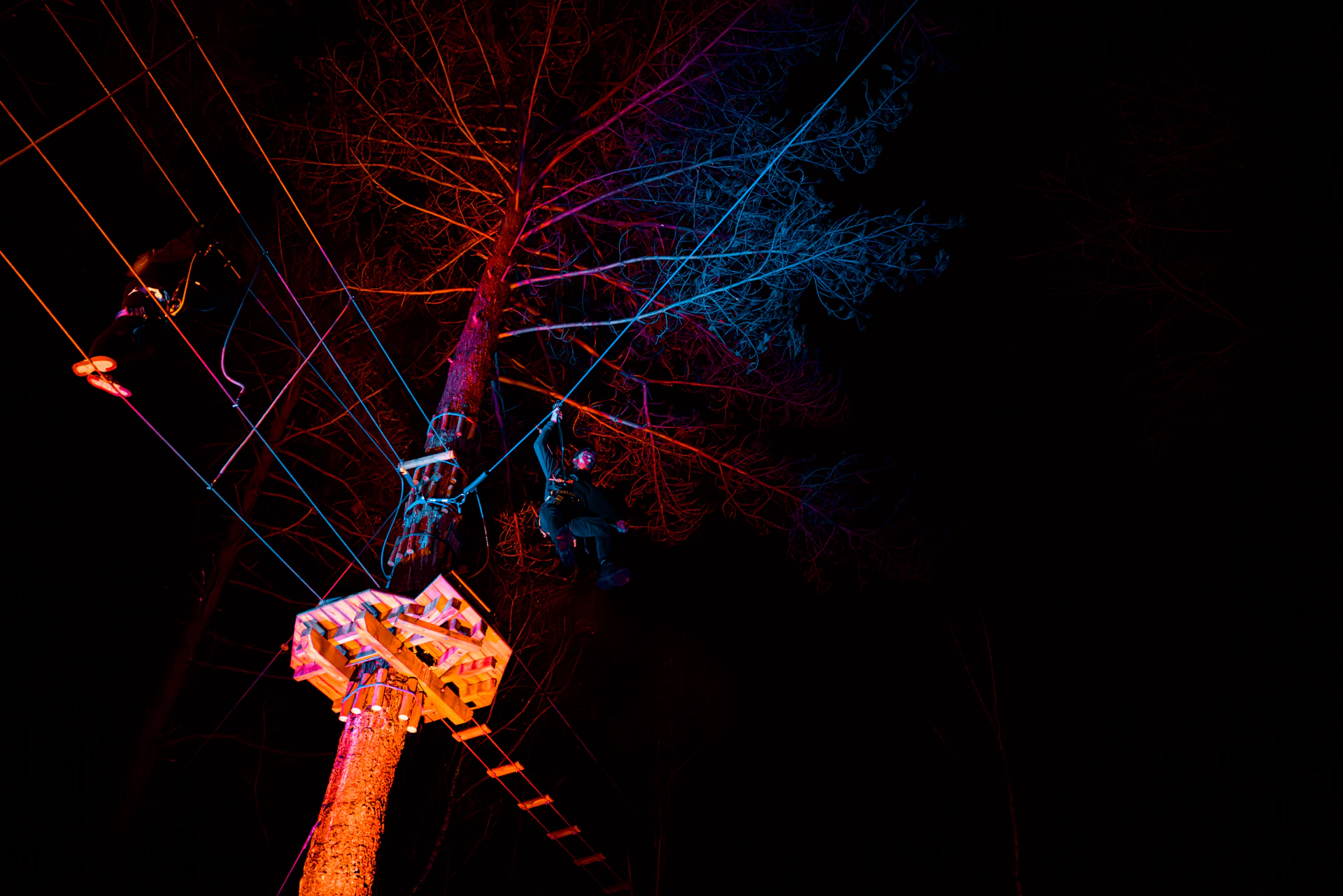 A Go Ape course lit with colourful lights and a person riding a zip wire