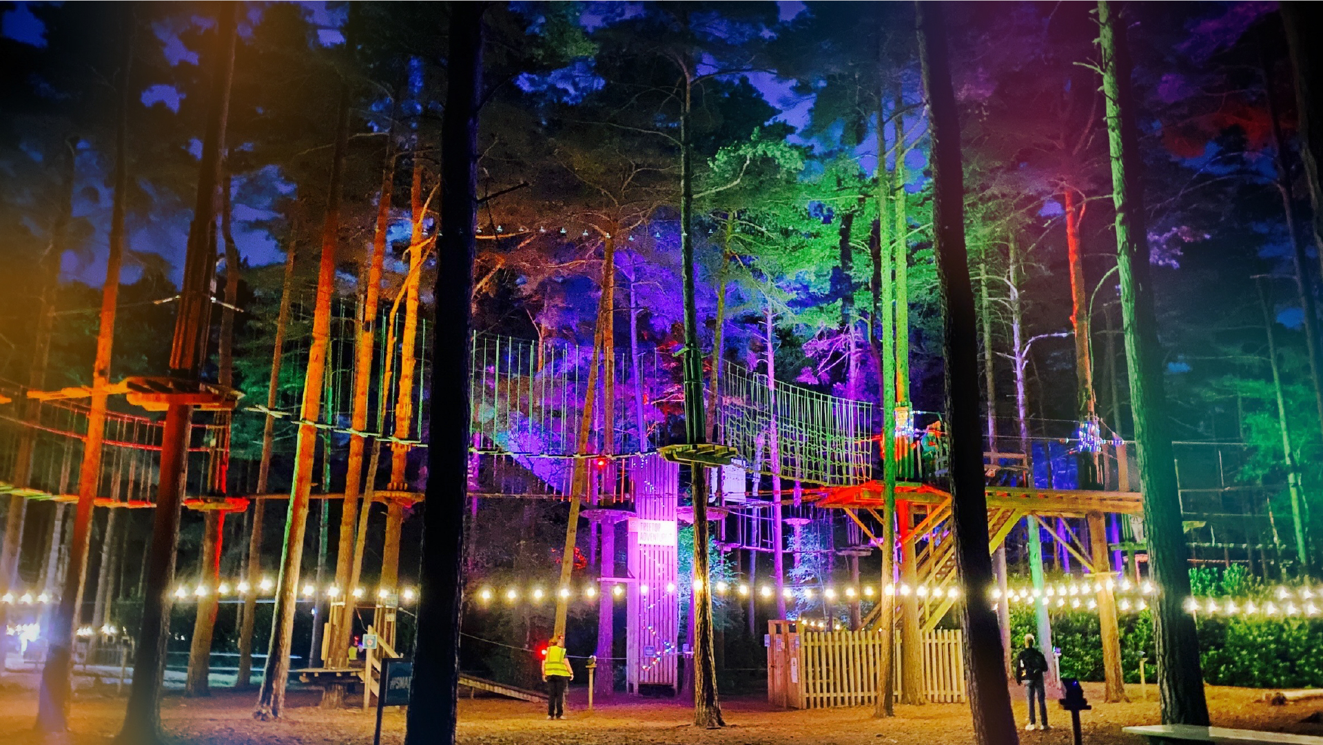 The Go Ape course lit with colourful lights for Sundown Adventures