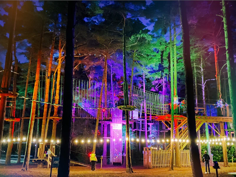 The Go Ape course lit with colourful lights for Sundown Adventures