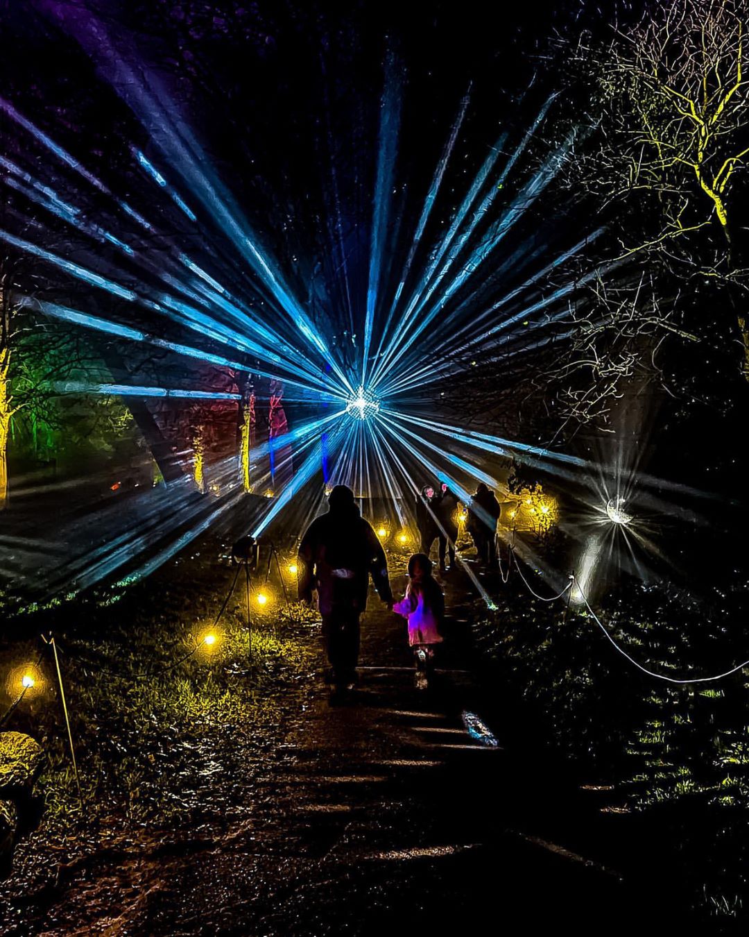 A family wander through the Luminate expereince at Coombe Abbey surrounded by dazzling lights