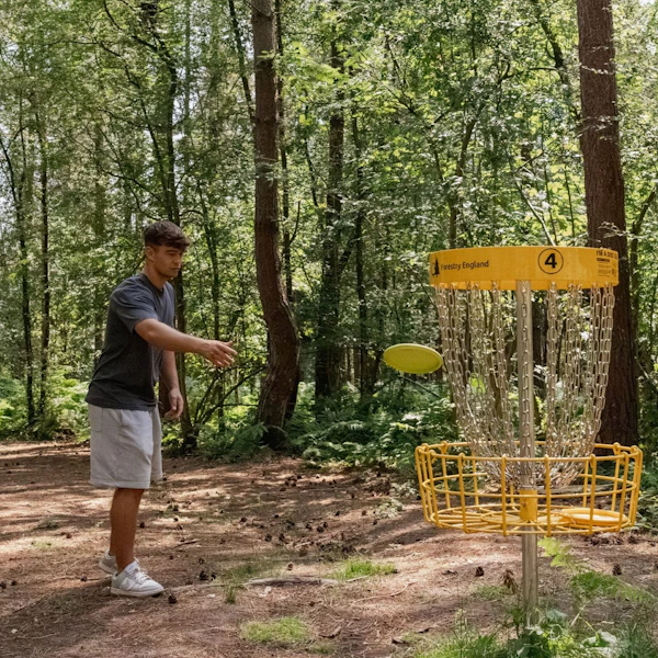 A family play disc golf in the forest