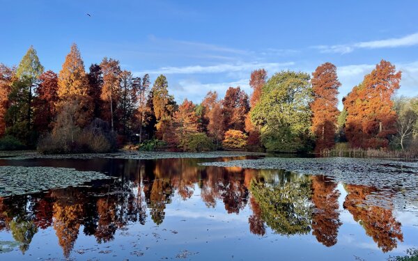 Bedgebury Pinetum