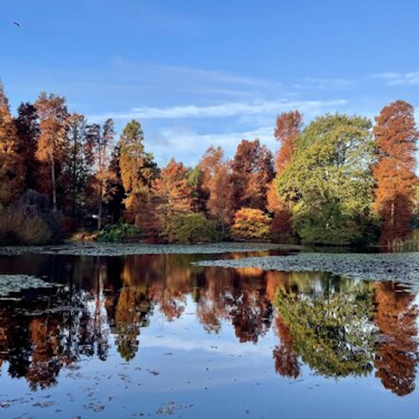 Bedgebury Pinetum