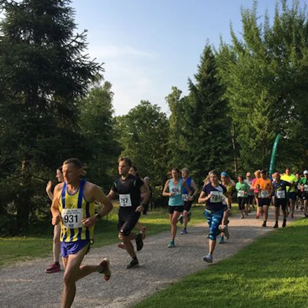 A running event in the forest
