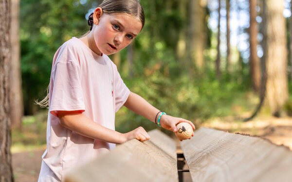 Giant marble run in the forest