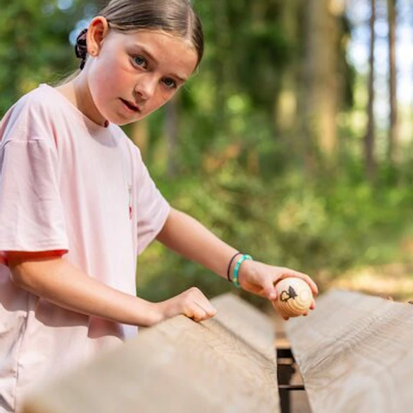 Giant marble run in the forest