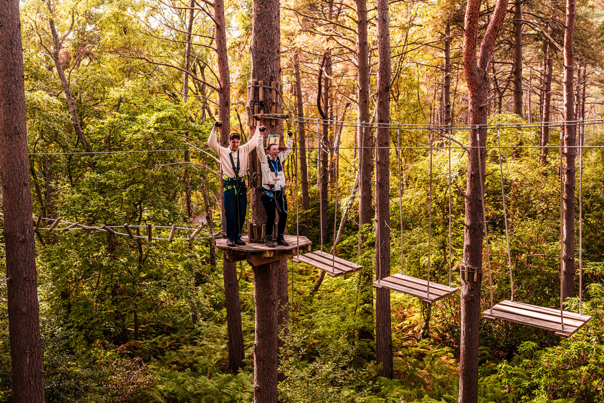 To adventurers celebrate on a platform in the treetops on a fun day out
