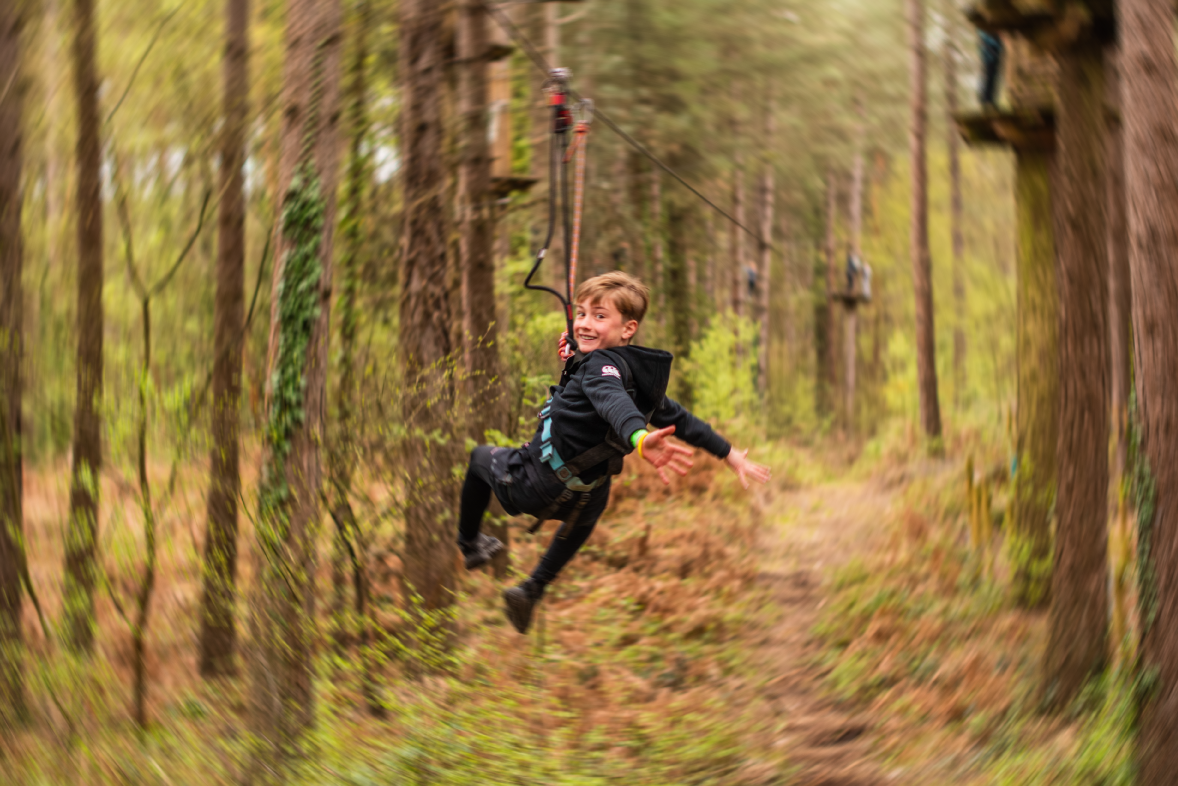 Treetop Adventure Plus
