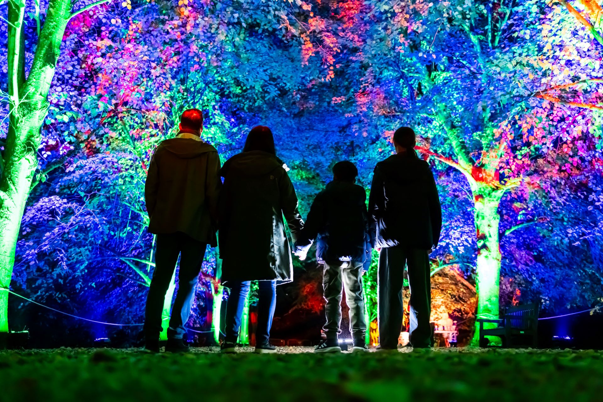 A family stand before a colourfully lit forest