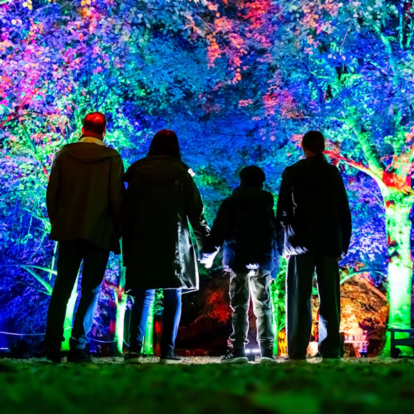 A family stand before a colourfully lit forest