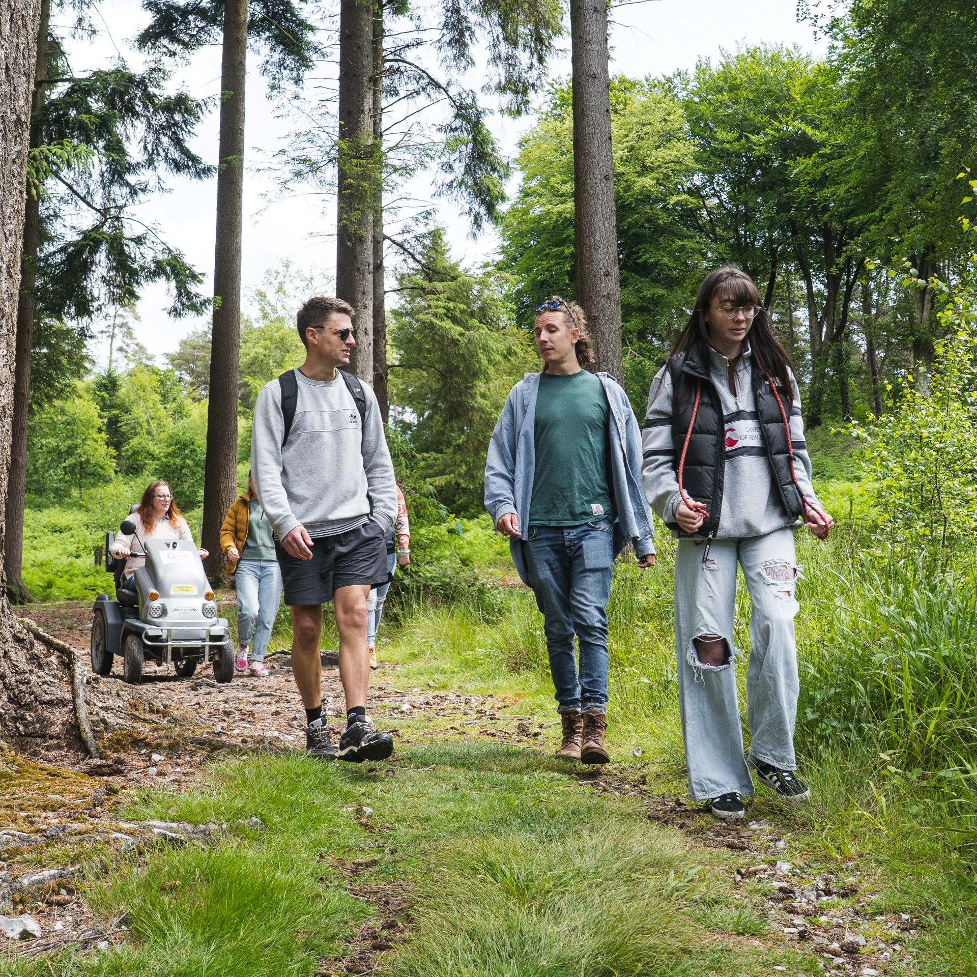 People enjoying a walk through the forest
