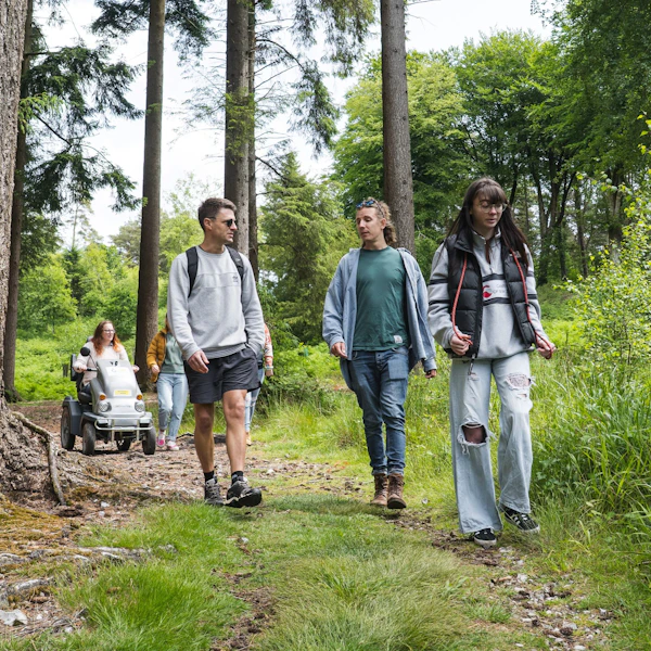People enjoying a walk through the forest