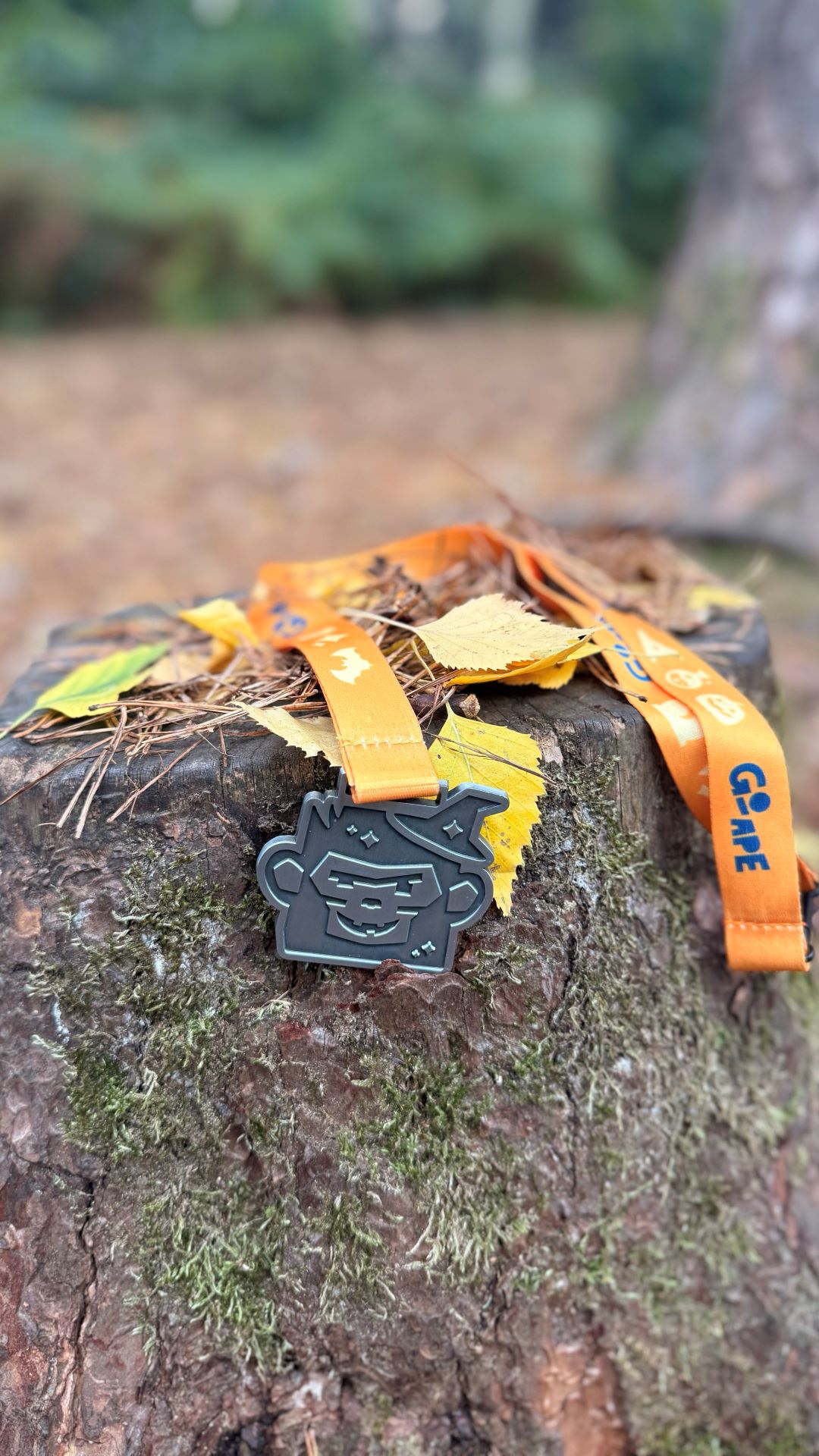 A Go Ape Potion Hunt medal resting on a tree stump