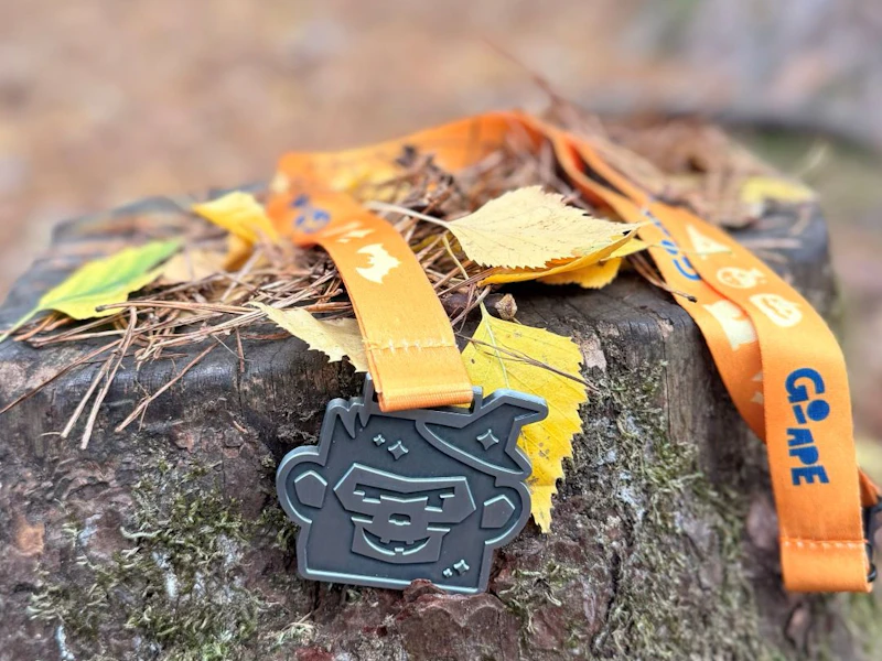 Go Ape Potion Hunt Medal A Go Ape Potion Hunt medal resting on a tree stump