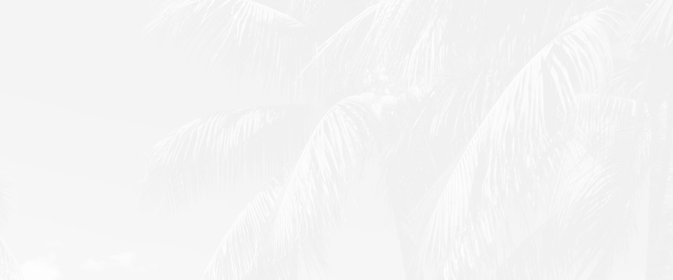 Banner media