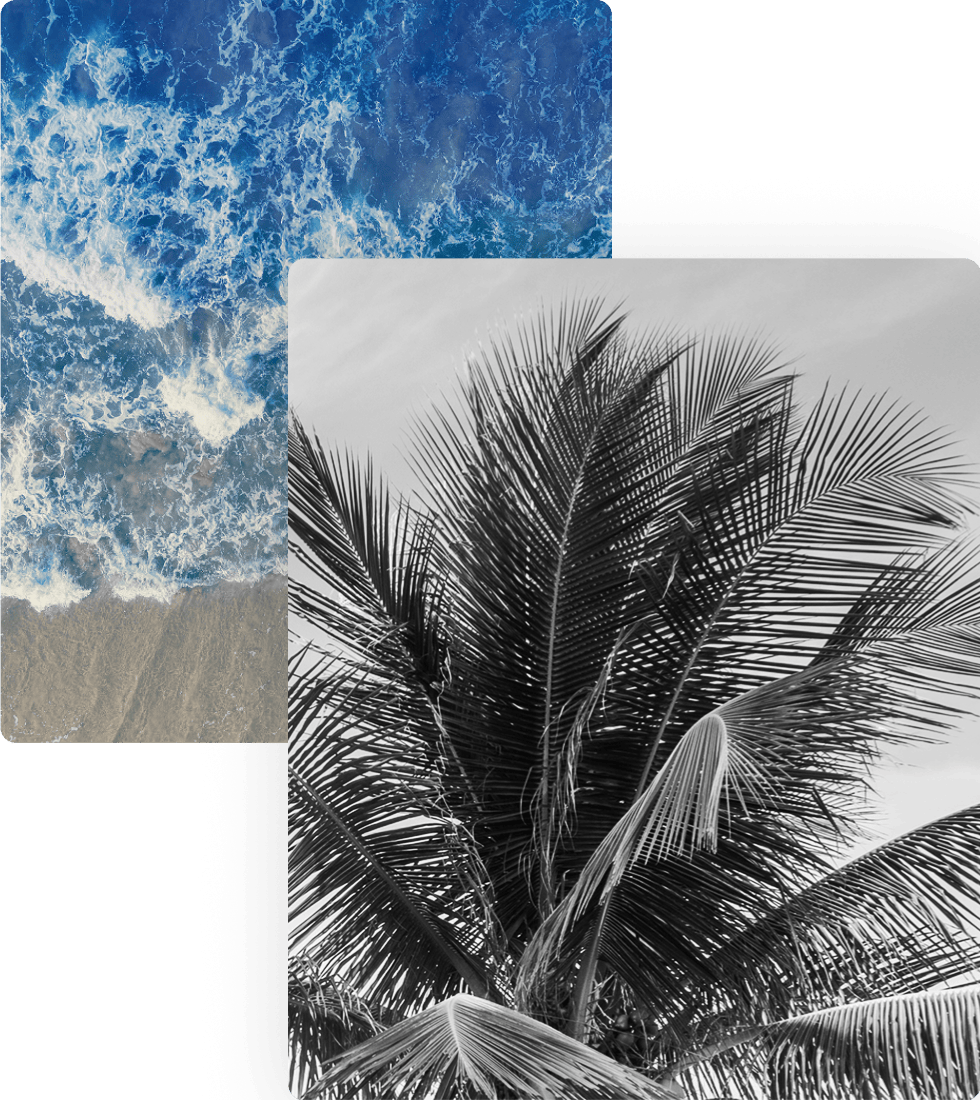 Waves and a palm tree