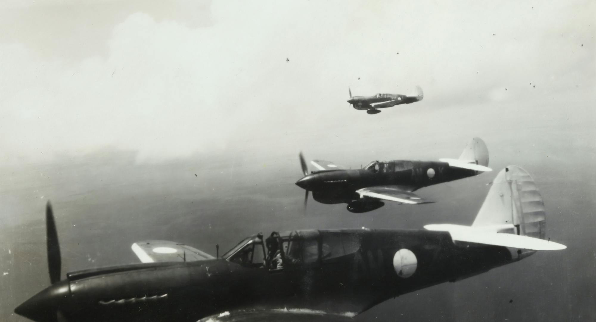 museums-victoria-oyGmigXV030-unsplash