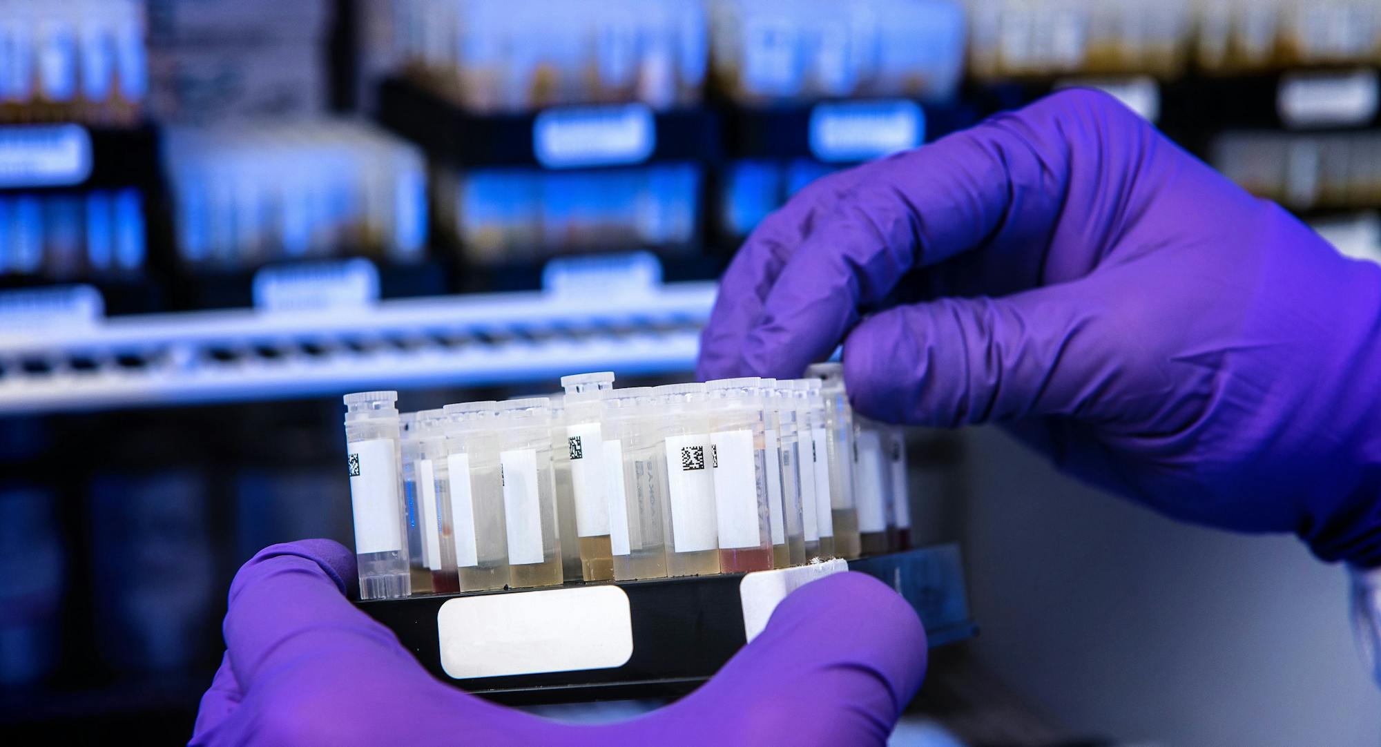 cdc-qs8wUhpN1gs-unsplash