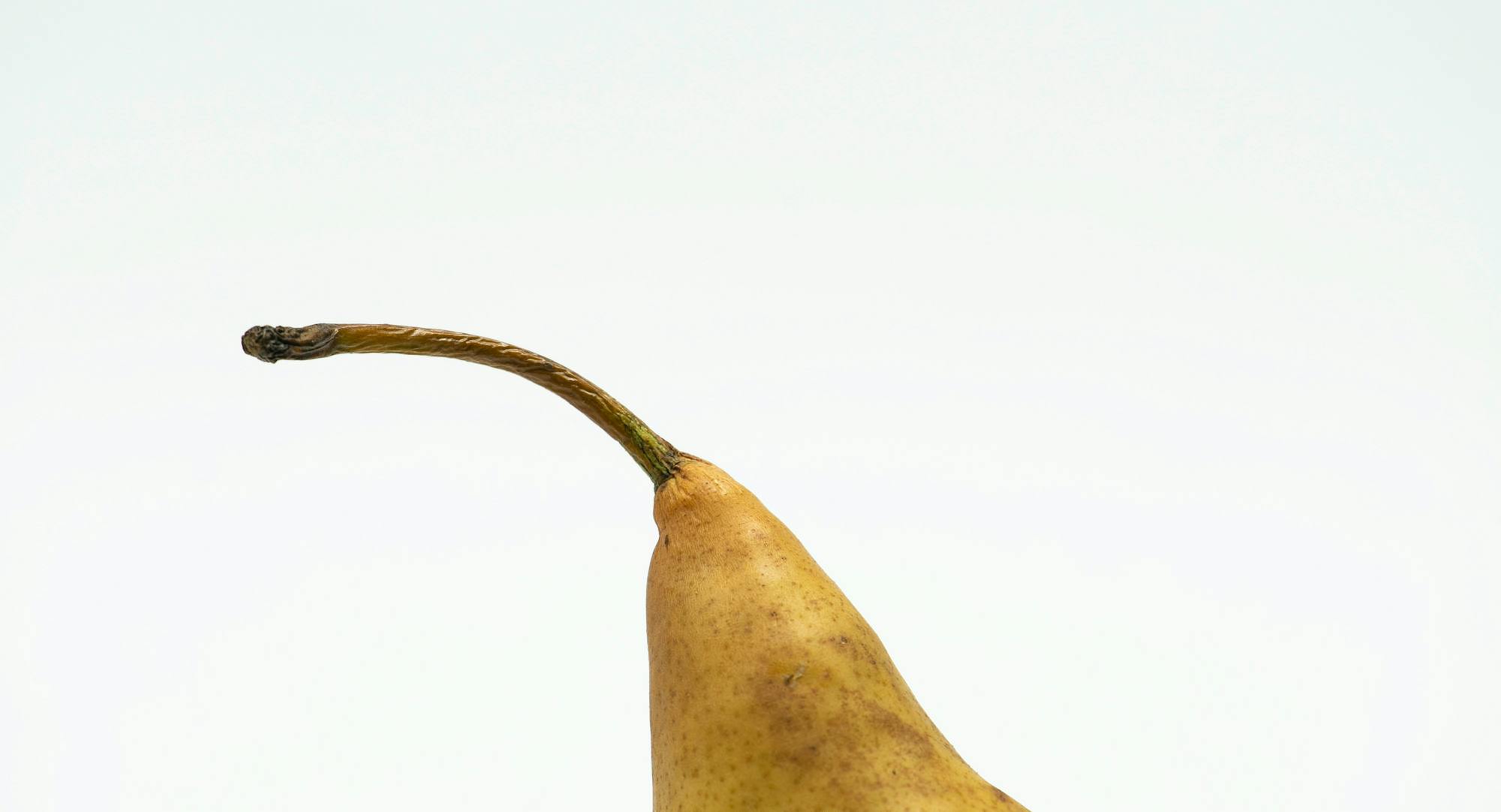 bence-balla-schottner-Ig1Q2geCAK0-unsplash