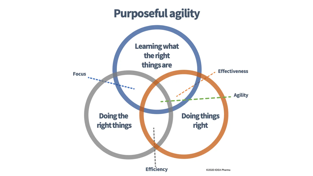 Purposeful Agility: Mastering the Art of Doing What Matters in Pharma