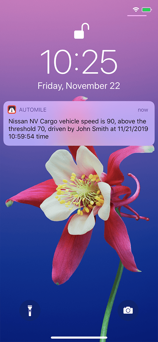 Speeding alerts