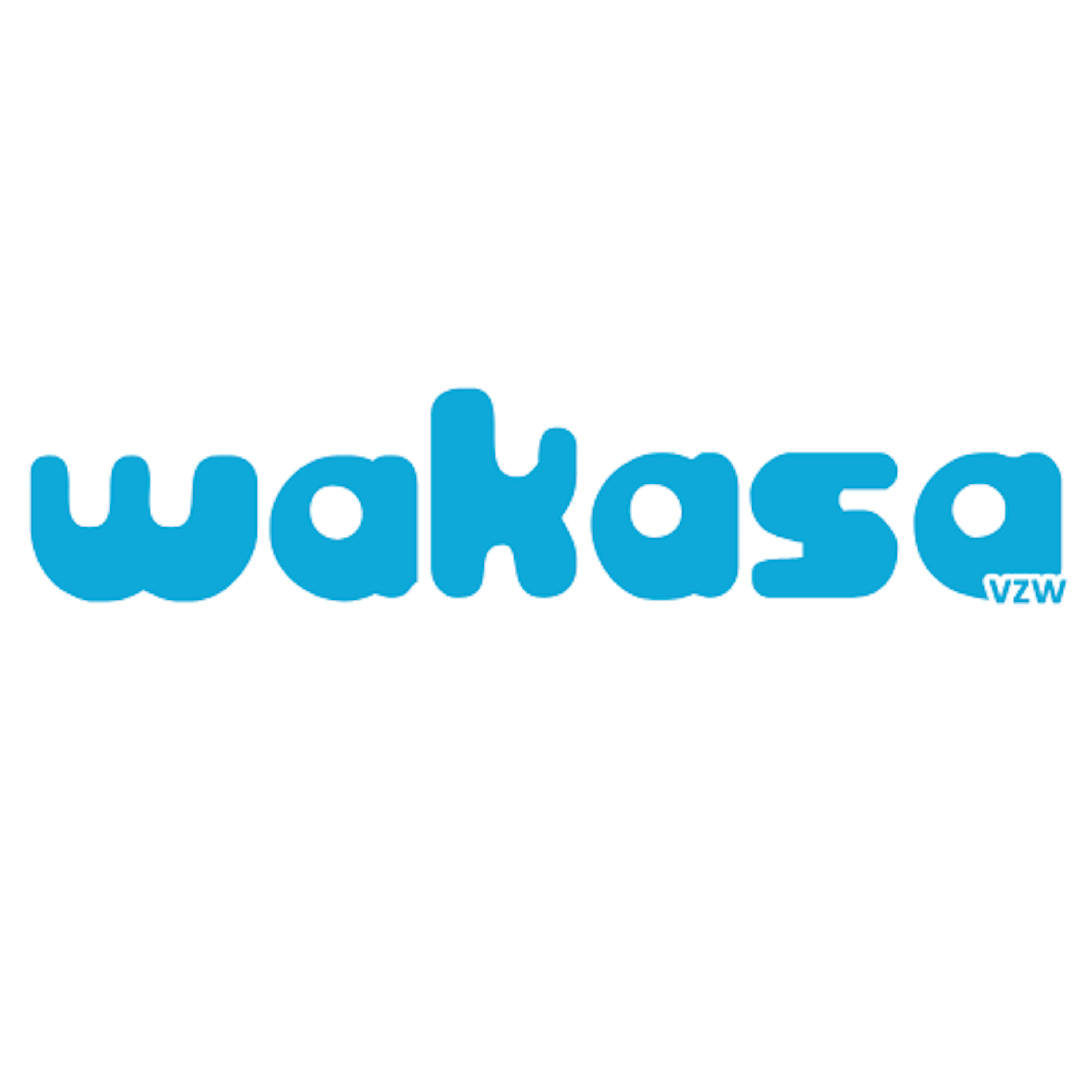 Wakasa logo
