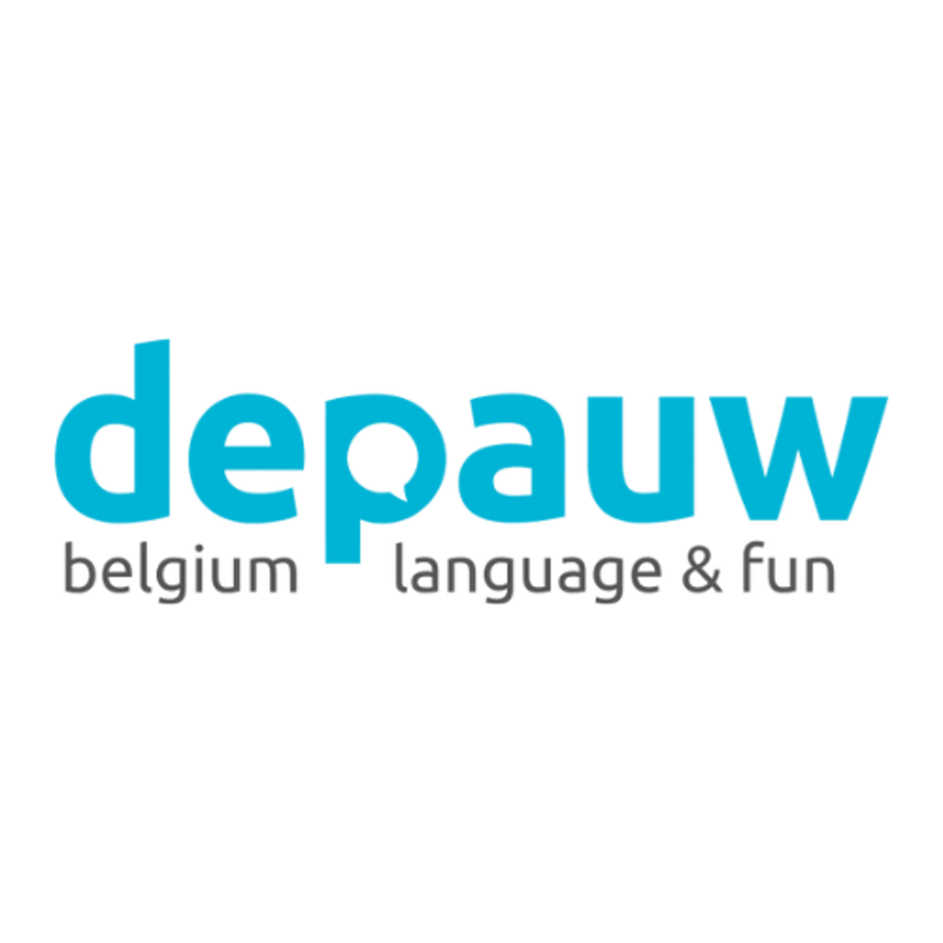 Taalstages De Pauw binnenland logo