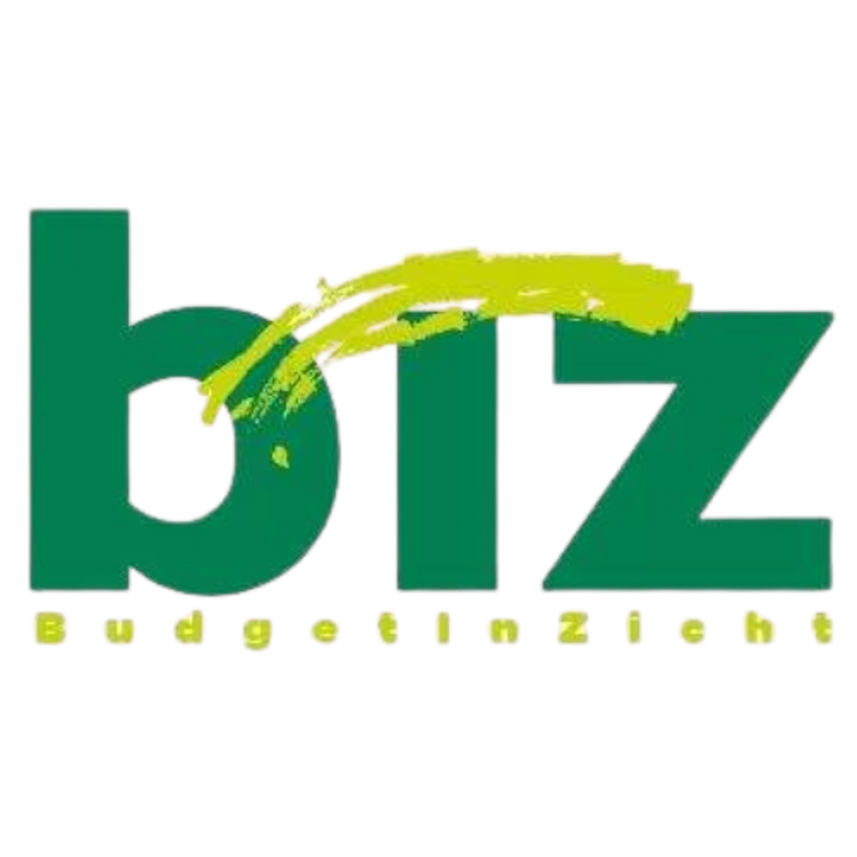 BudgetInZicht (BIZ) logo