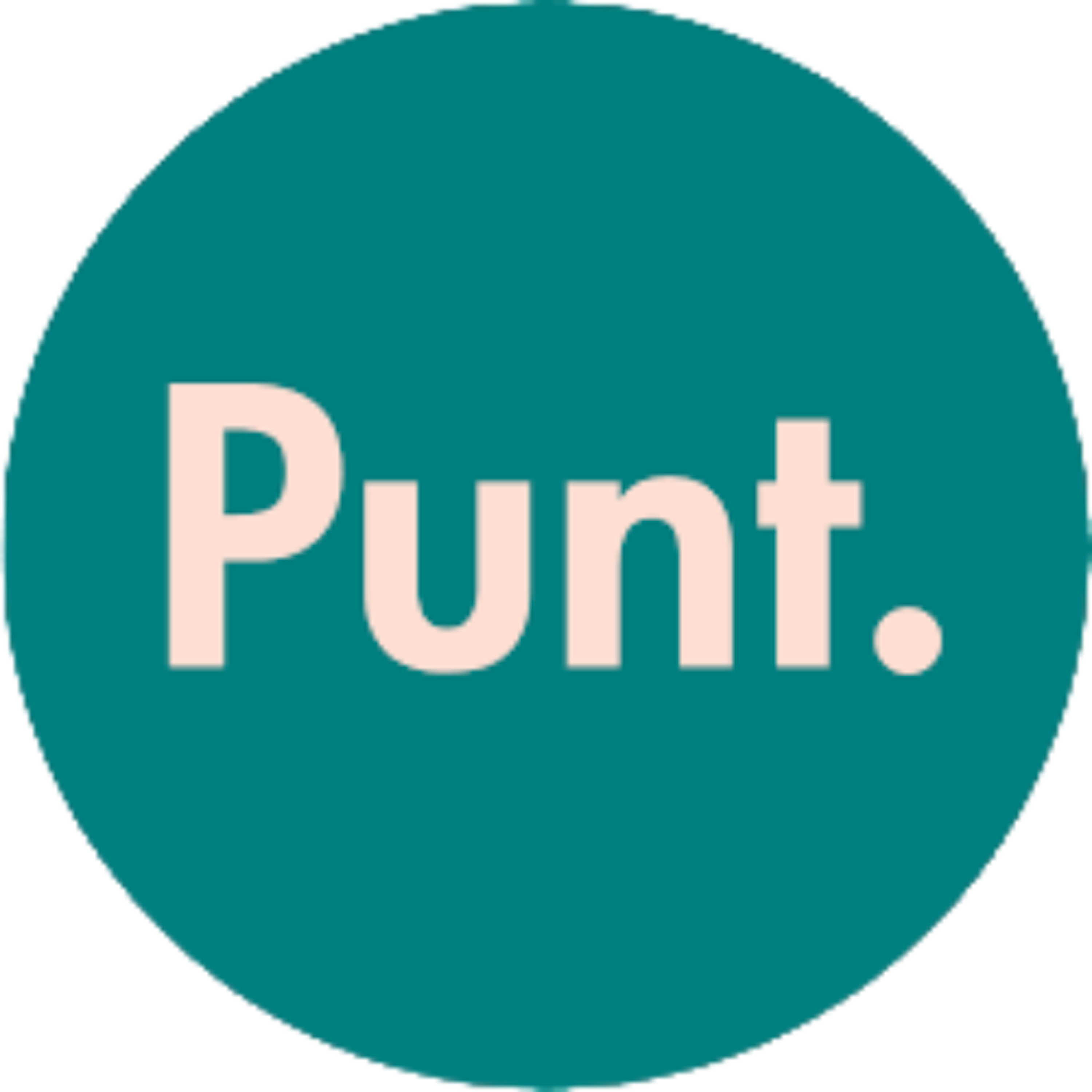 PUNT. vzw logo