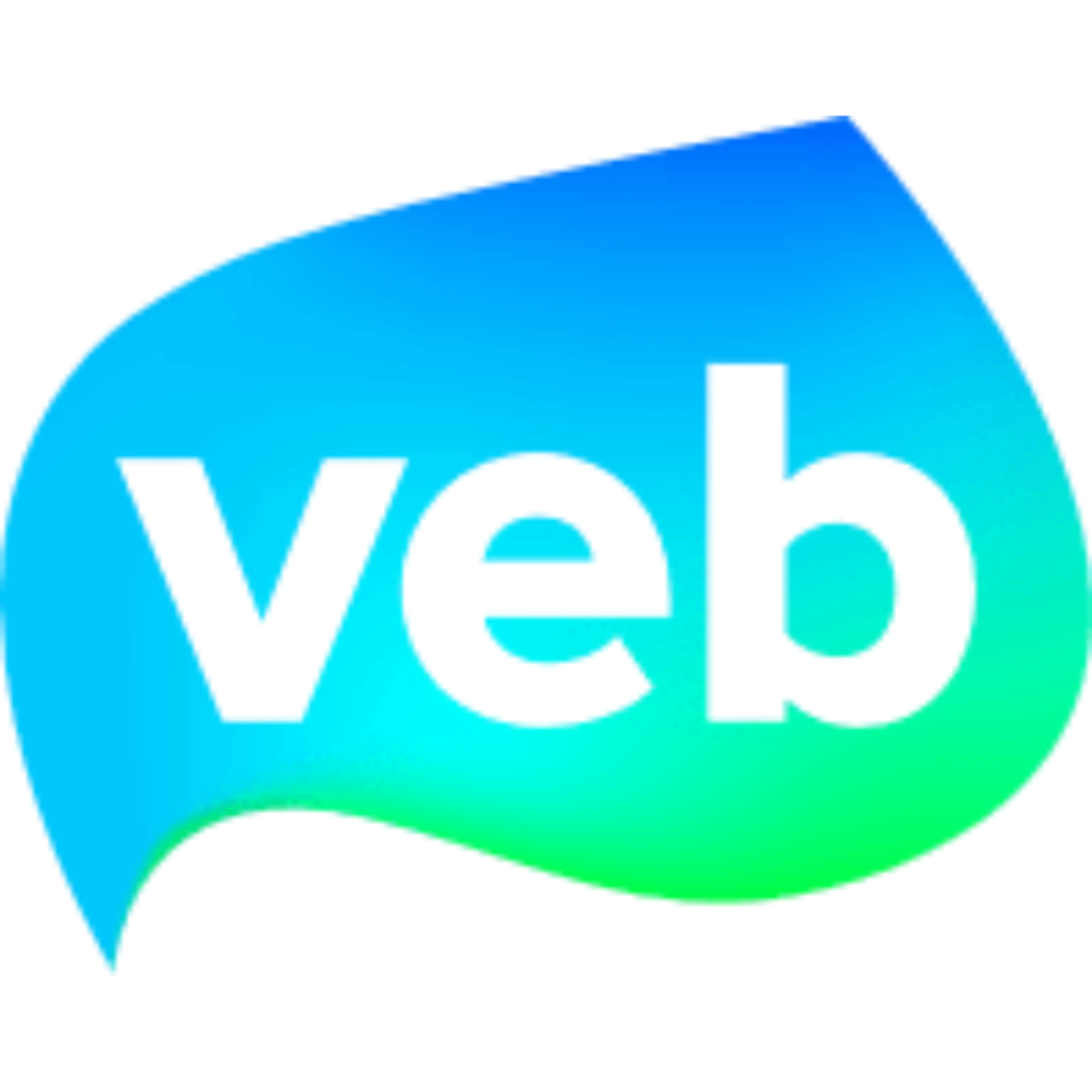 Vlaams Energiebedrijf logo