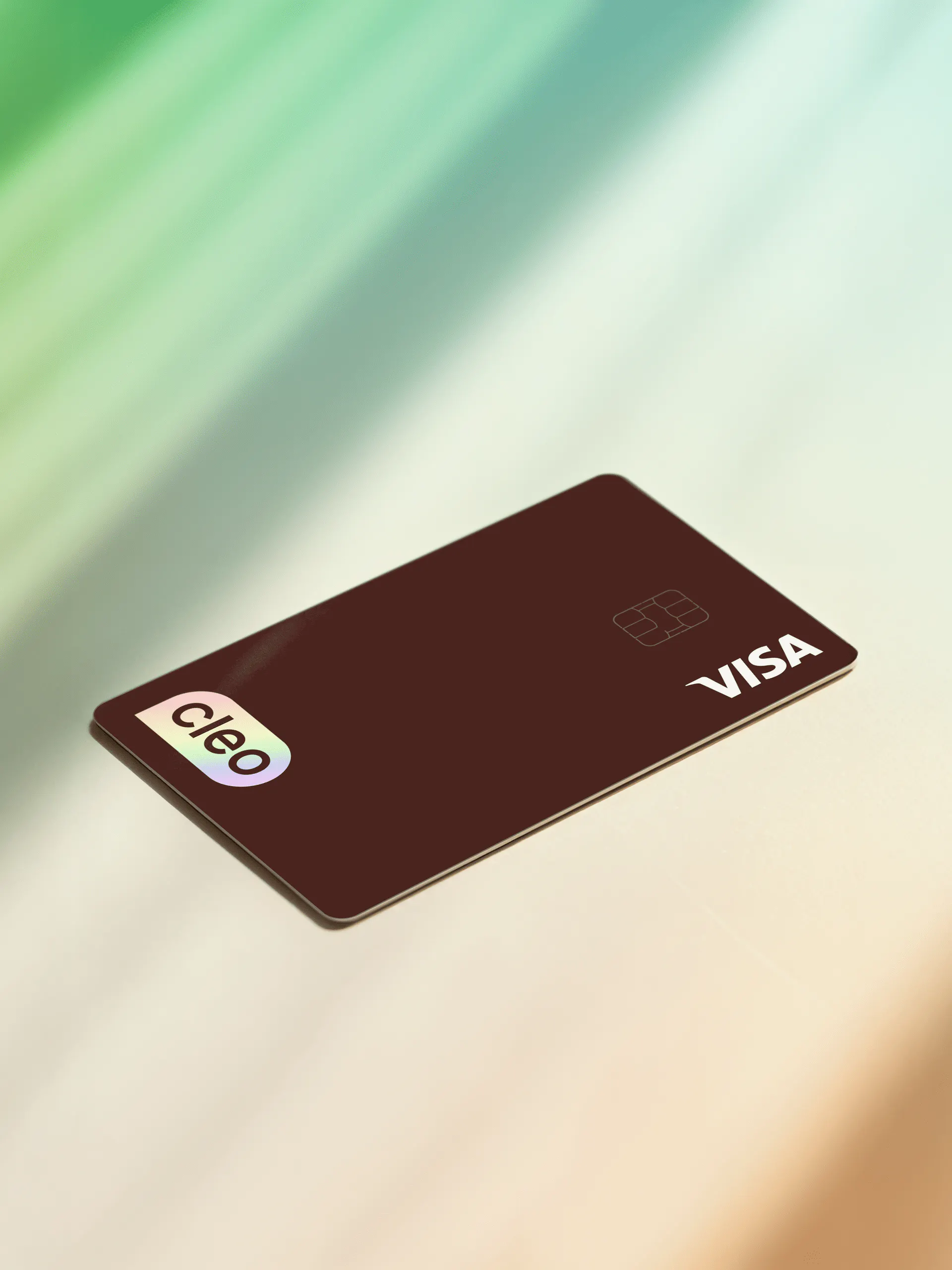 AI Meets Money | Financial AI Assistant | Cleo