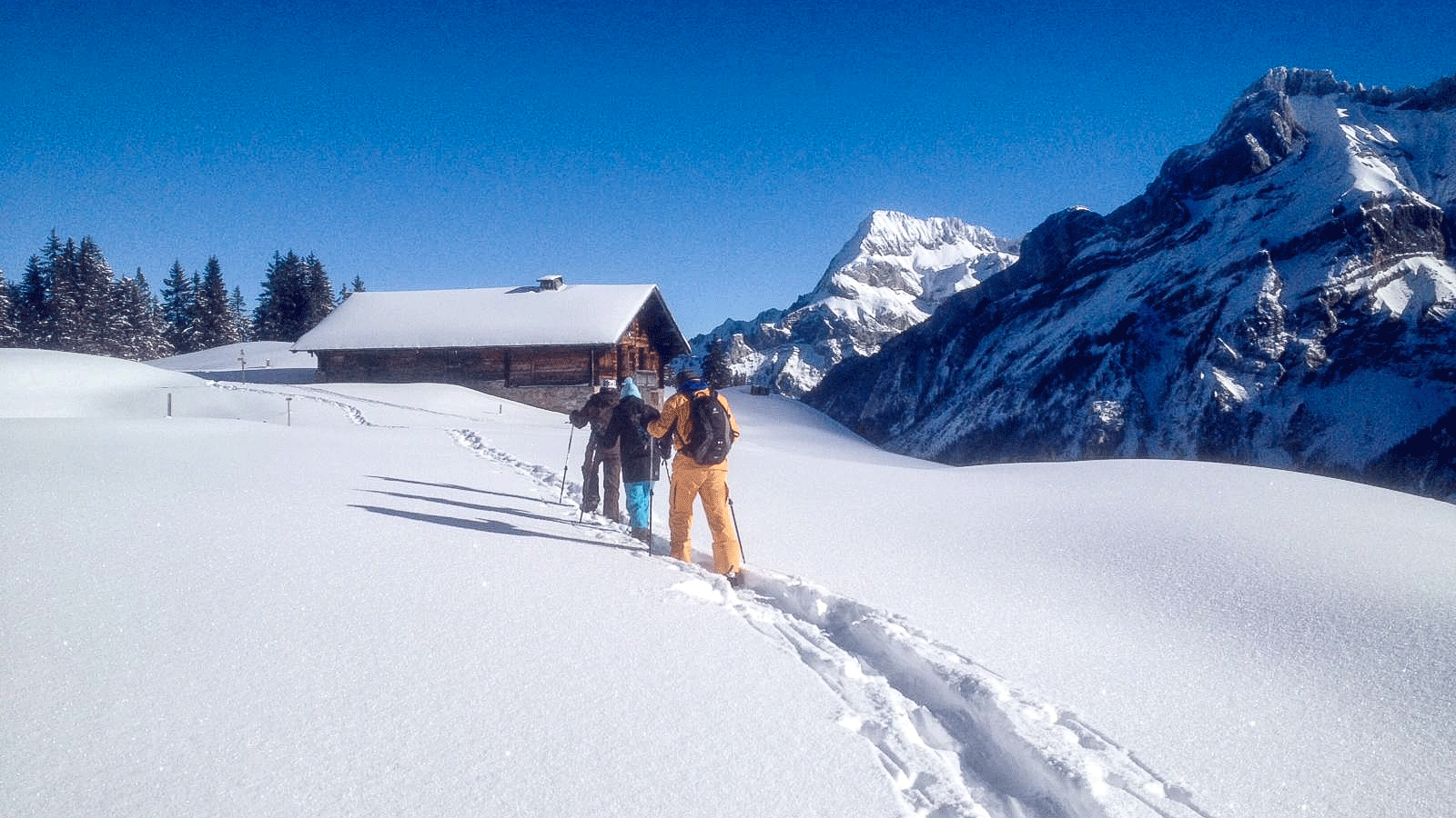 Schneeschuhwandern Drei Menschen stapfen durch Schnee, blauer Himmel, Berglandschaft