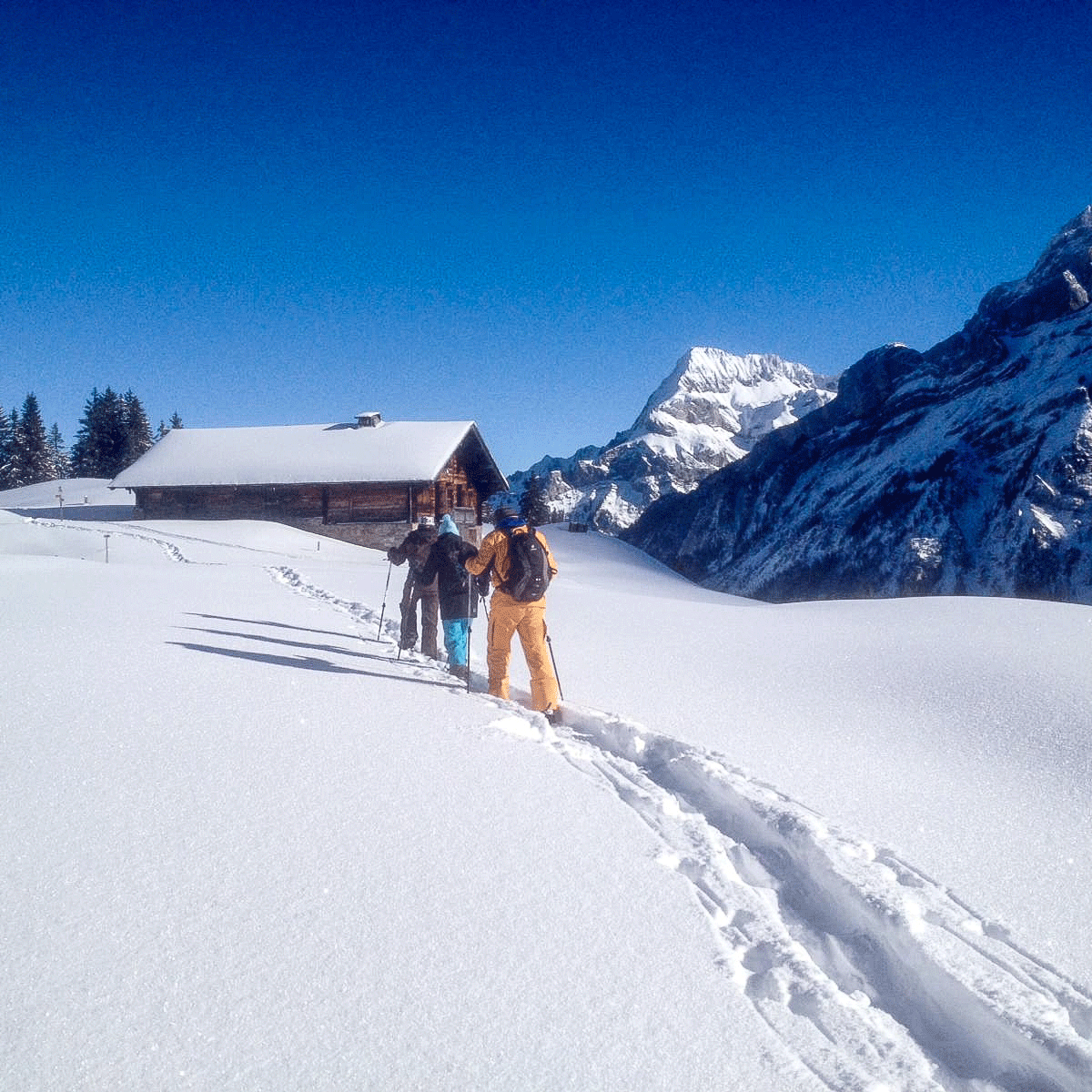 Snowshoeing Three people trudging through snow, blue sky, mountain landscape