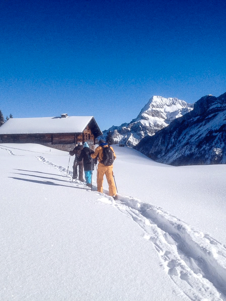 Snowshoeing Three people trudging through snow, blue sky, mountain landscape
