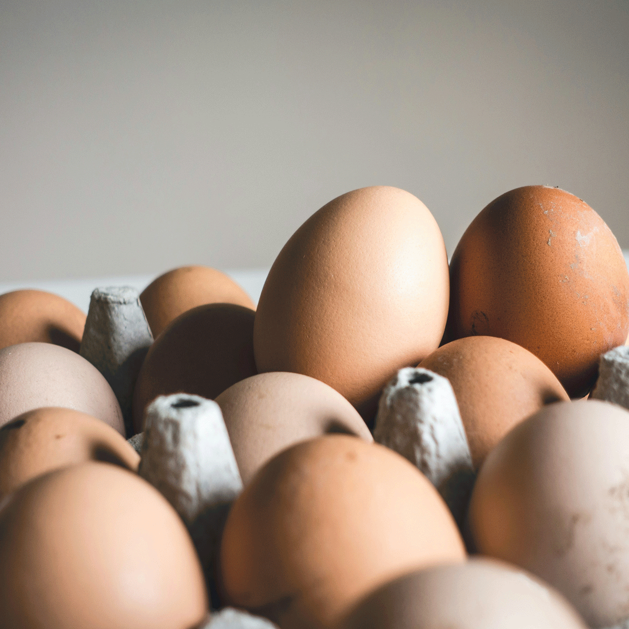 Eggs Brown eggs in a carton