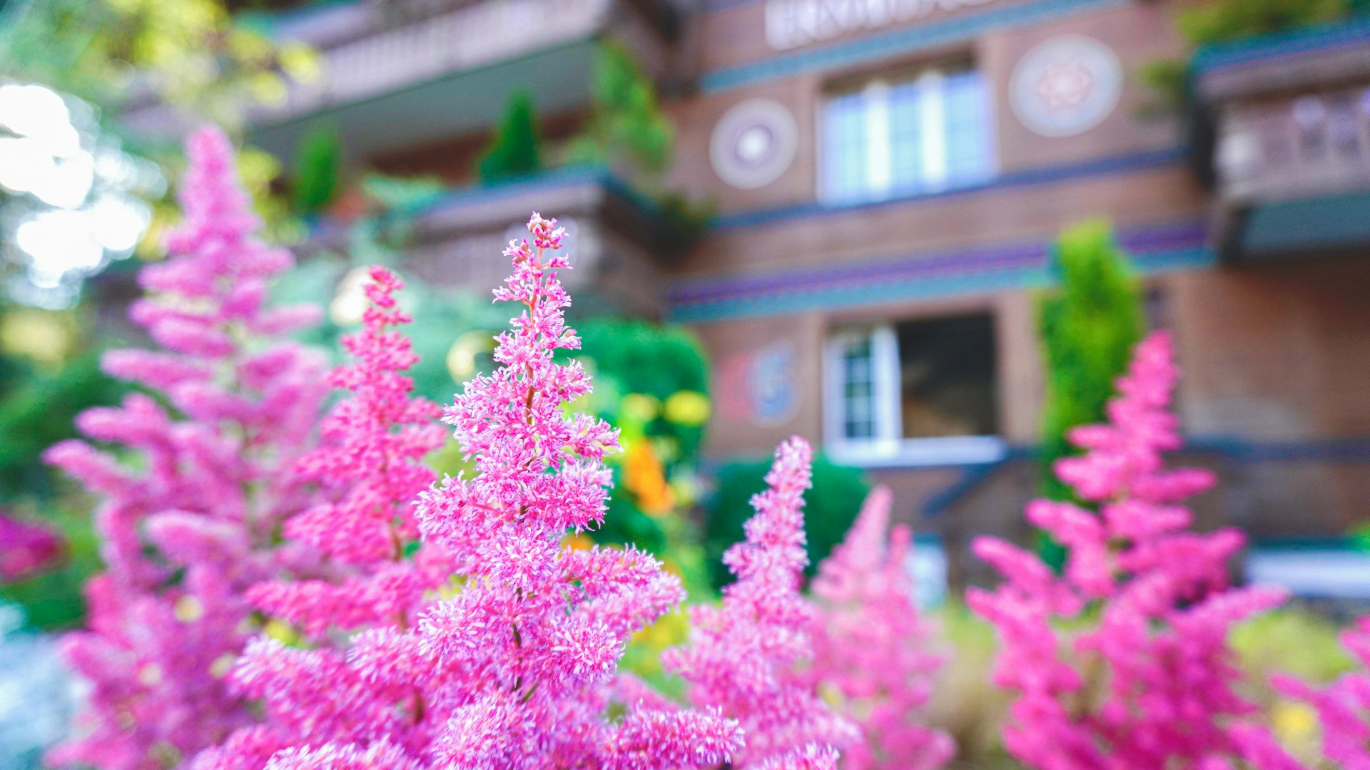 Garden of the Hotel Ermitage Pink flowers in front of a wooden house