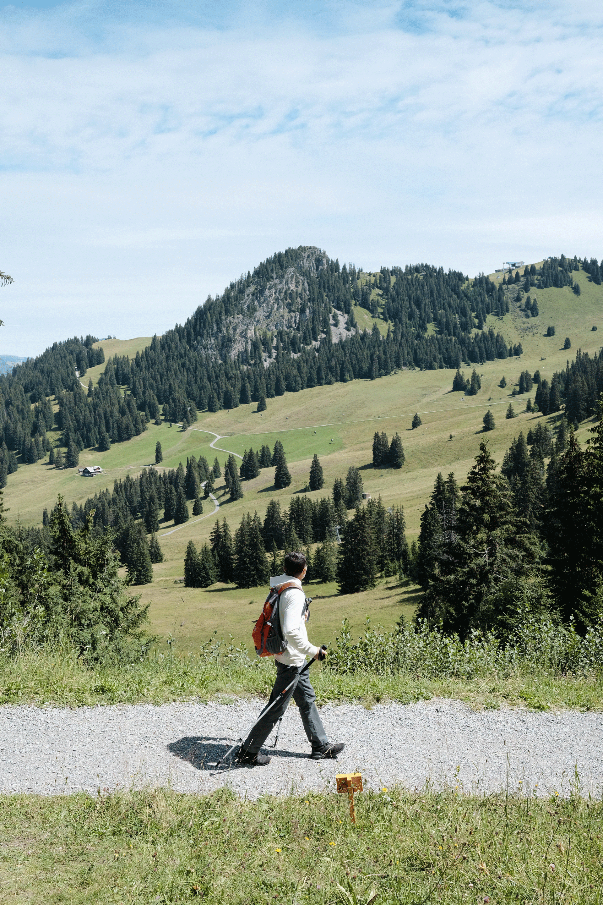 Eine Person mit Wanderstöcken geht auf einem Kiesweg vor Bergkulisse