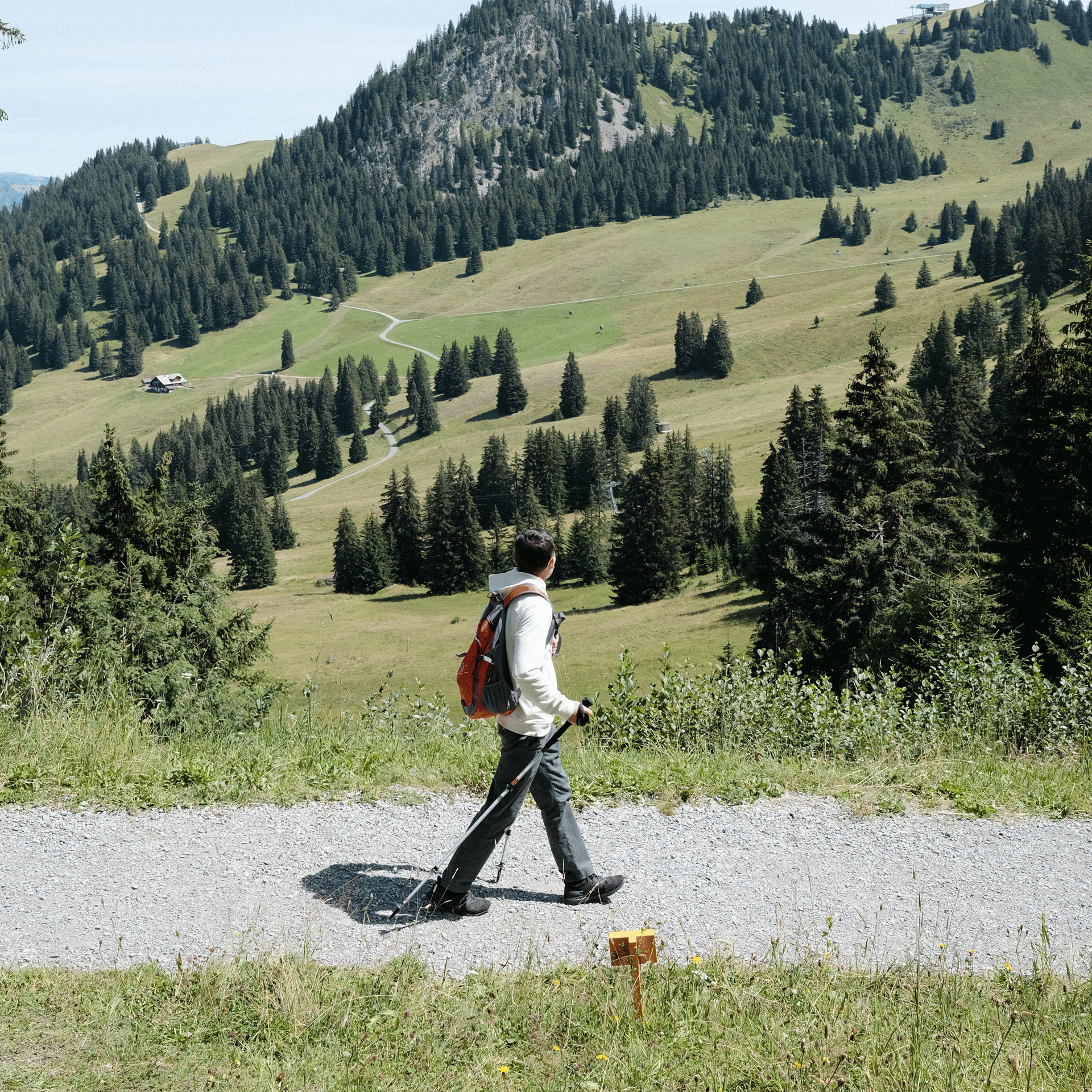 Hiking in the Saanenland A person with hiking poles walks on a gravel path against a mountain backdrop
