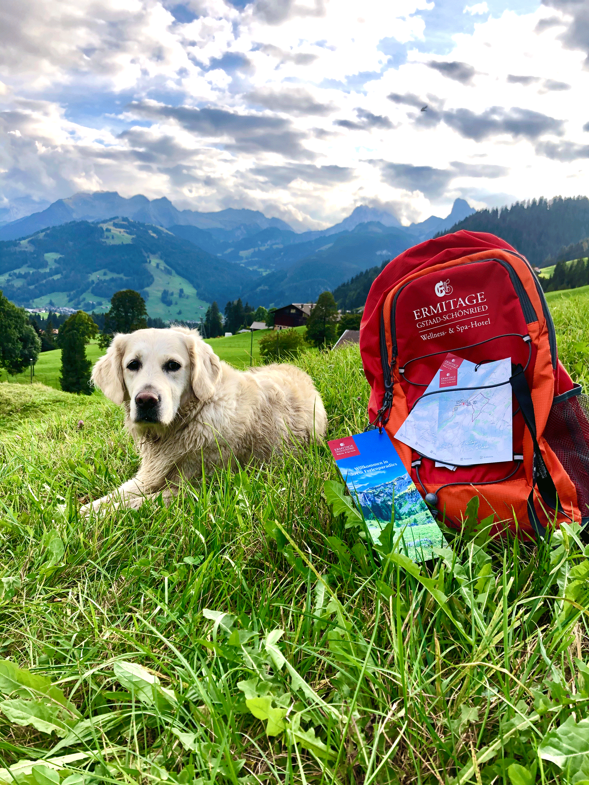 Dog sits next to a red rucksack in the middle of the countryside