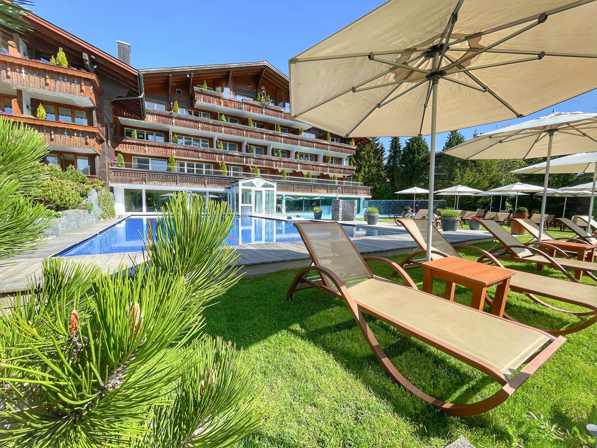 Chaises longues et parasols dans la verdure devant la piscine et la grande maison en bois