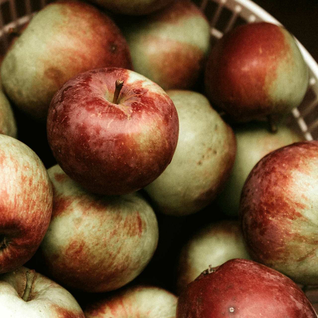 Ermitage kitchen philosophy Red-green apples in a basket