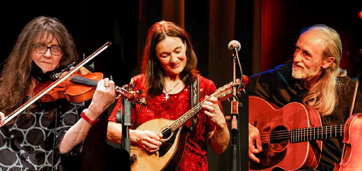 A violinist, a ukulele player and a guitarist in front of the microphone