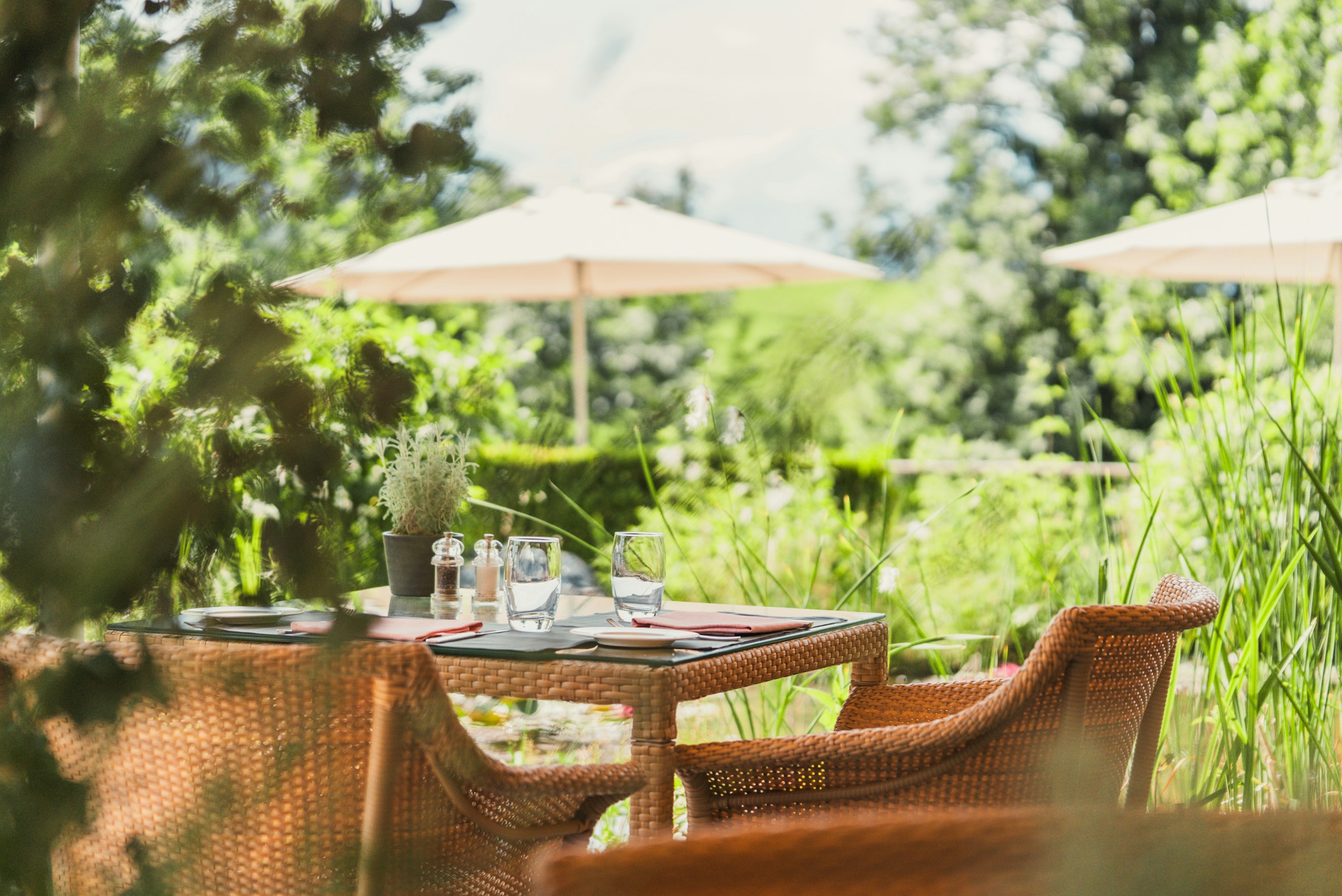 Set table on the terrace at the Ermitage