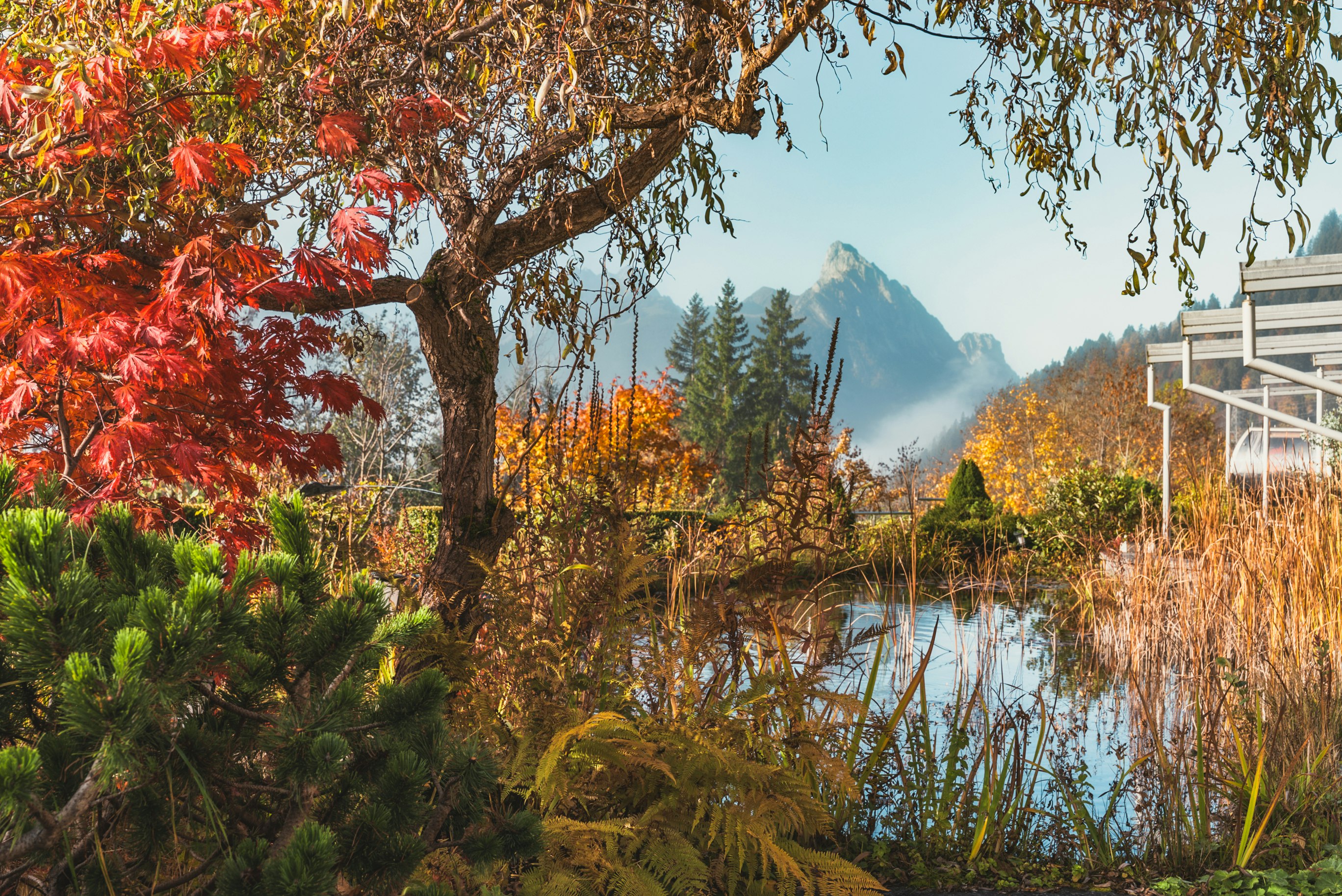 Teich Berge und Laubbäume Spätherbst im ERMITAGE