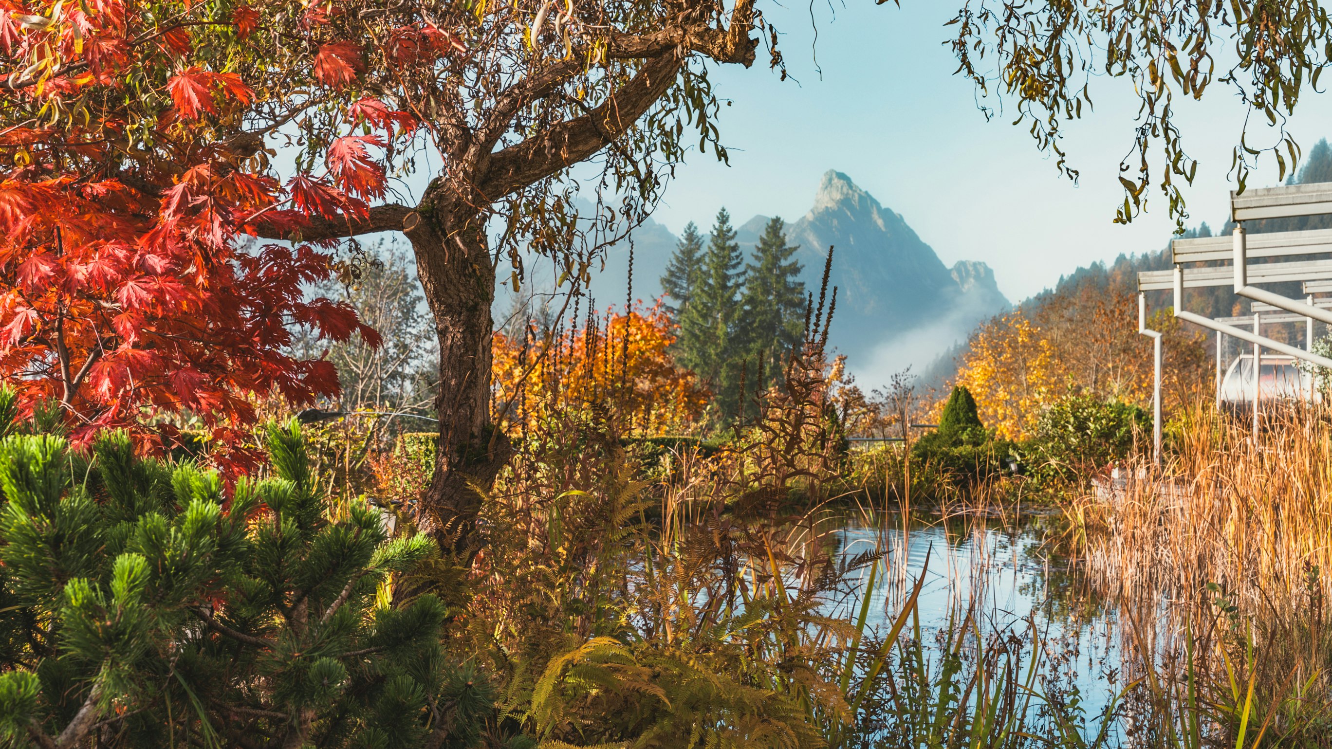 Spätherbst im ERMITAGE Teich Berge und Laubbäume Spätherbst im ERMITAGE