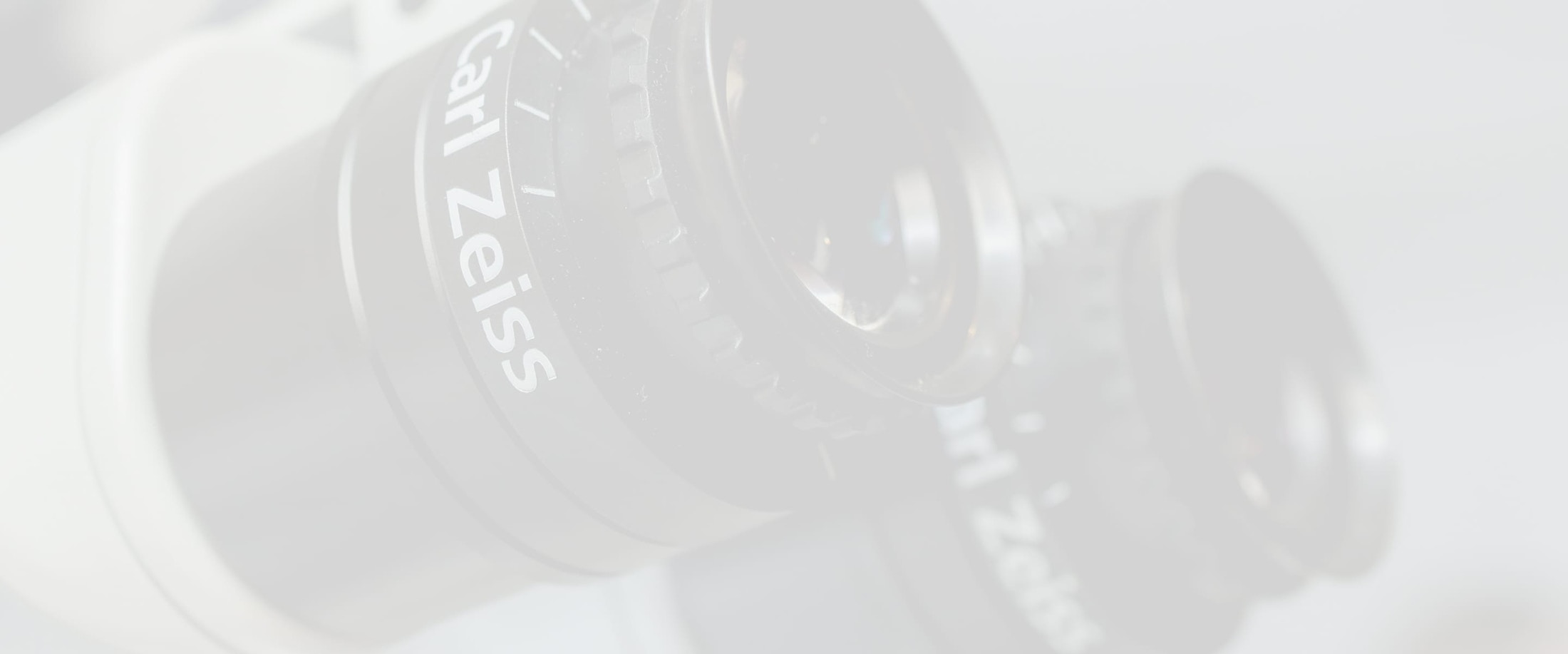 Banner media