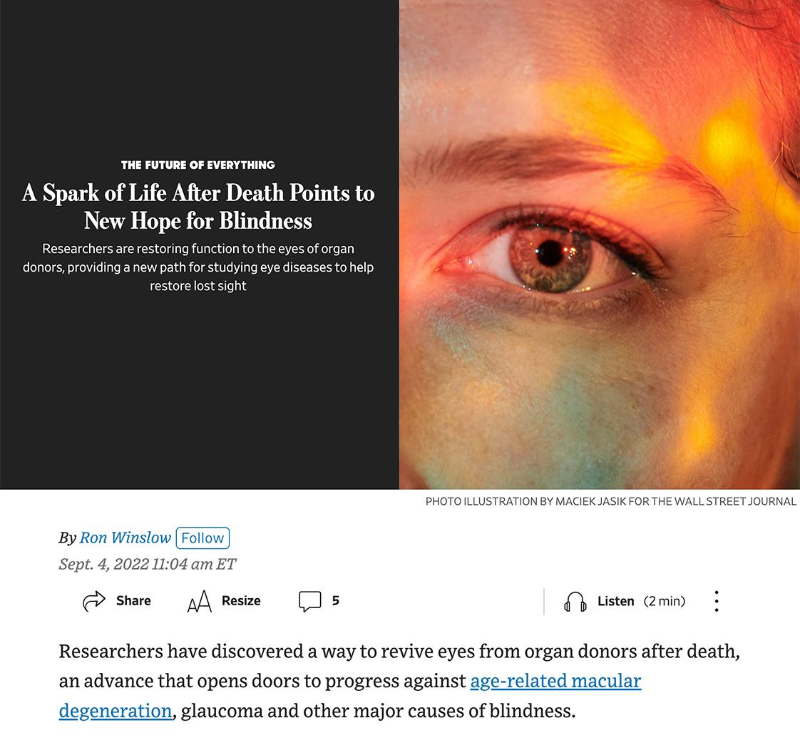 Reviving Eyes and Treating Macula Degeneration 