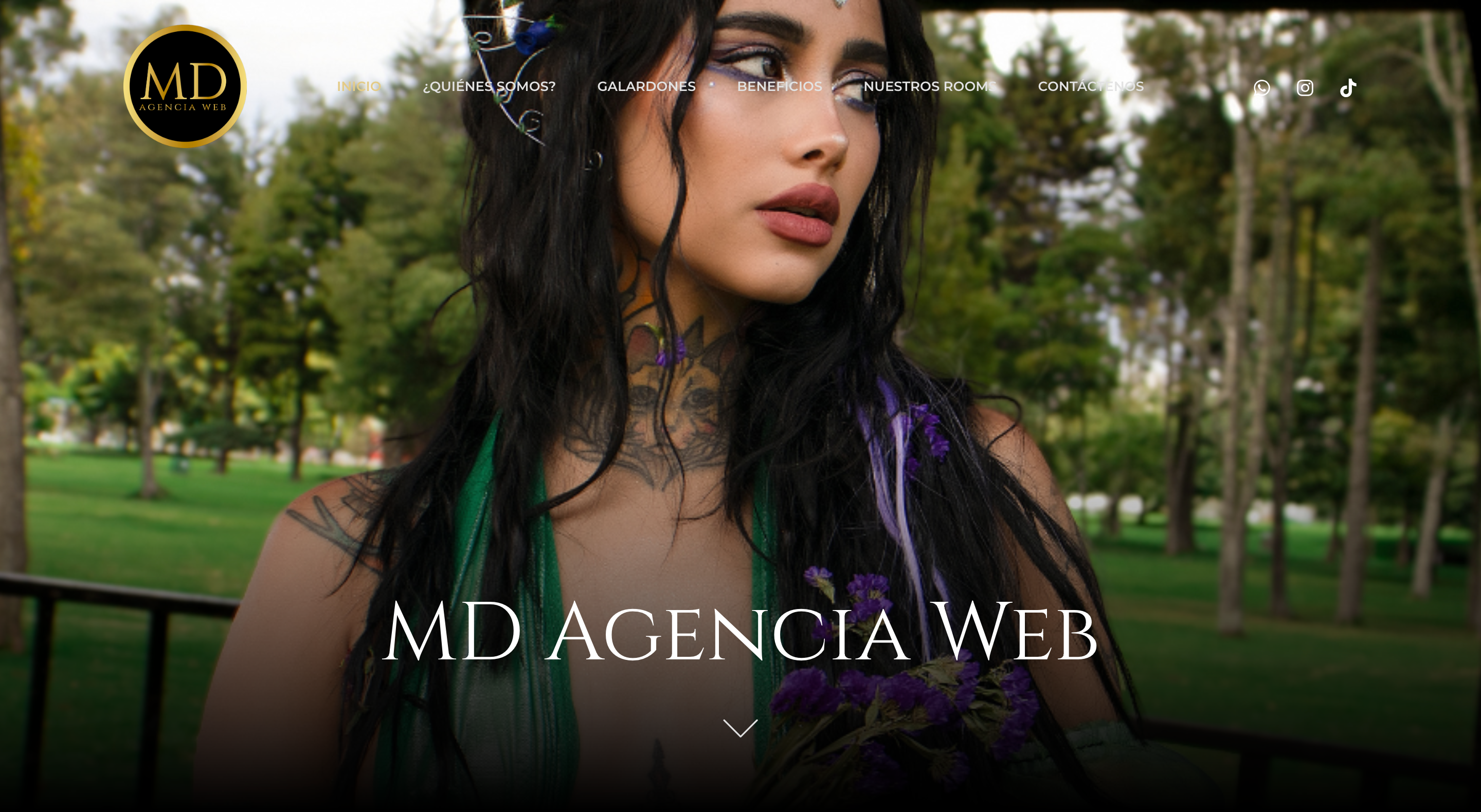 MD Agencia Web