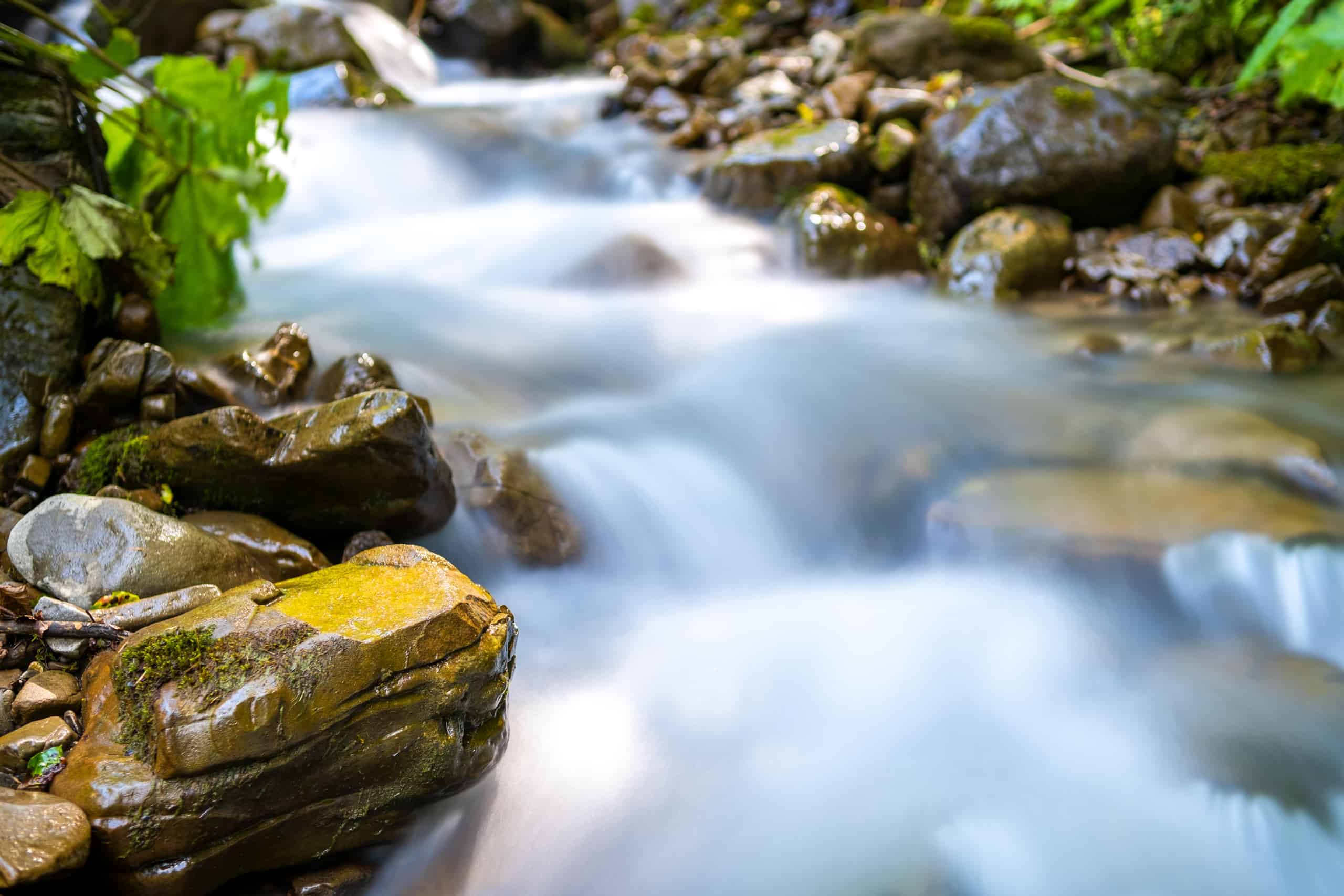 A clear mountain stream flows over smooth, moss-covered rocks, surrounded by lush greenery, creating a peaceful and natural landscape.
